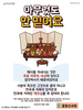  꽃동산교회(10초 엽서) [47]